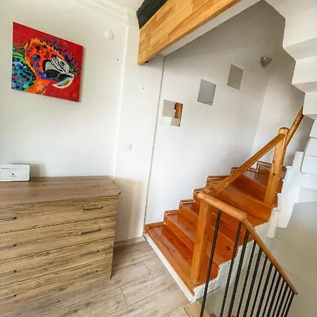 Albatros Sitesi Villa