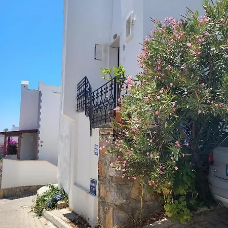 Albatros Sitesi Villa